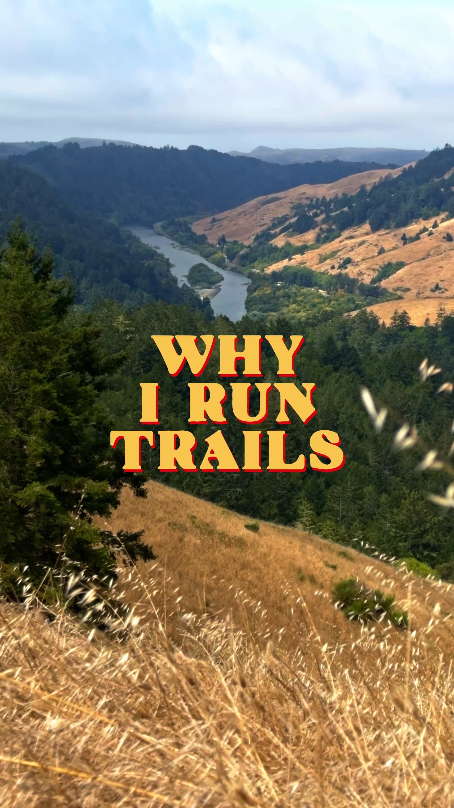 Why I Run Trails: Exhibit A