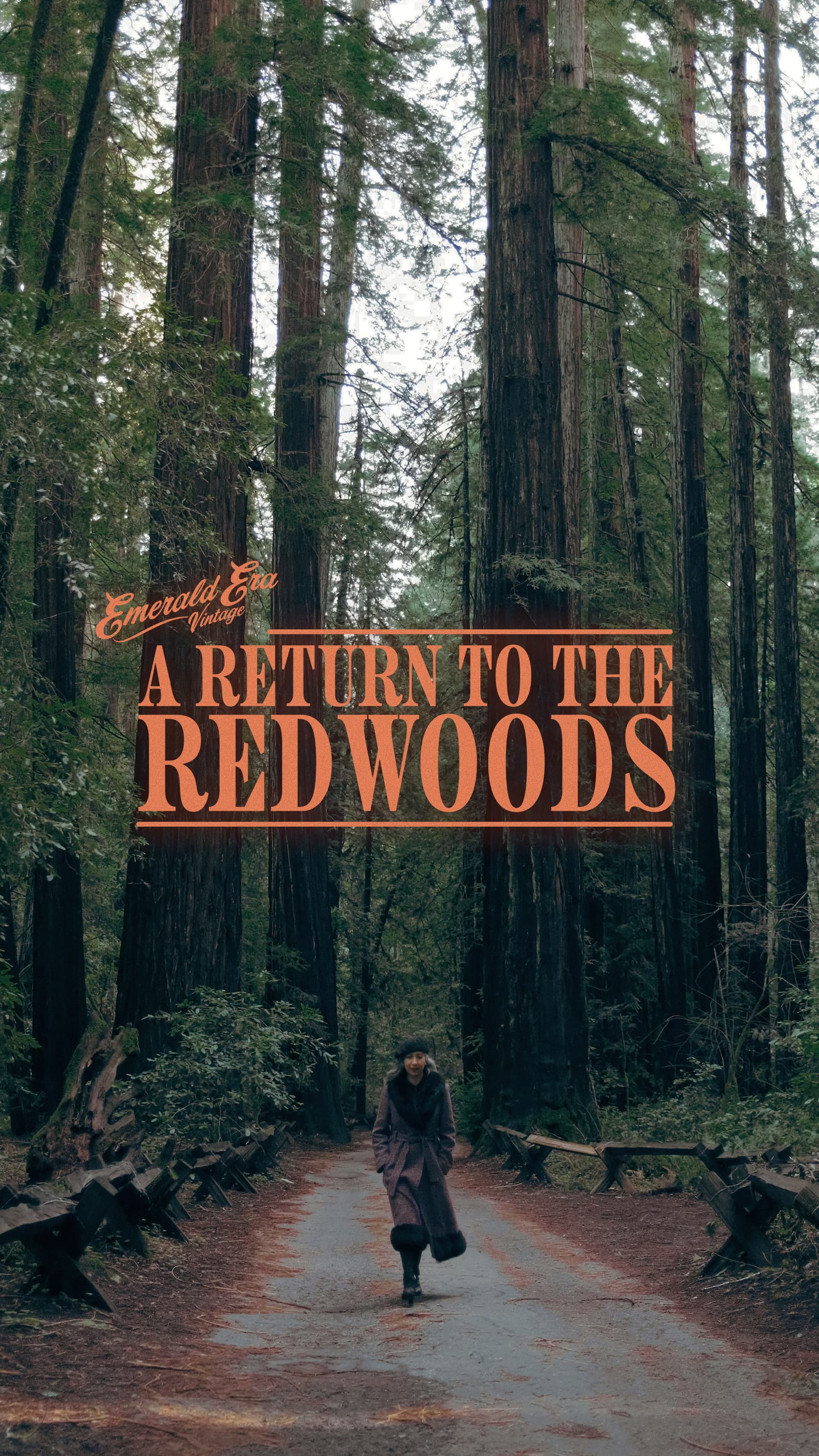 Emerald Era Vintage - A Return to the Redwoods
