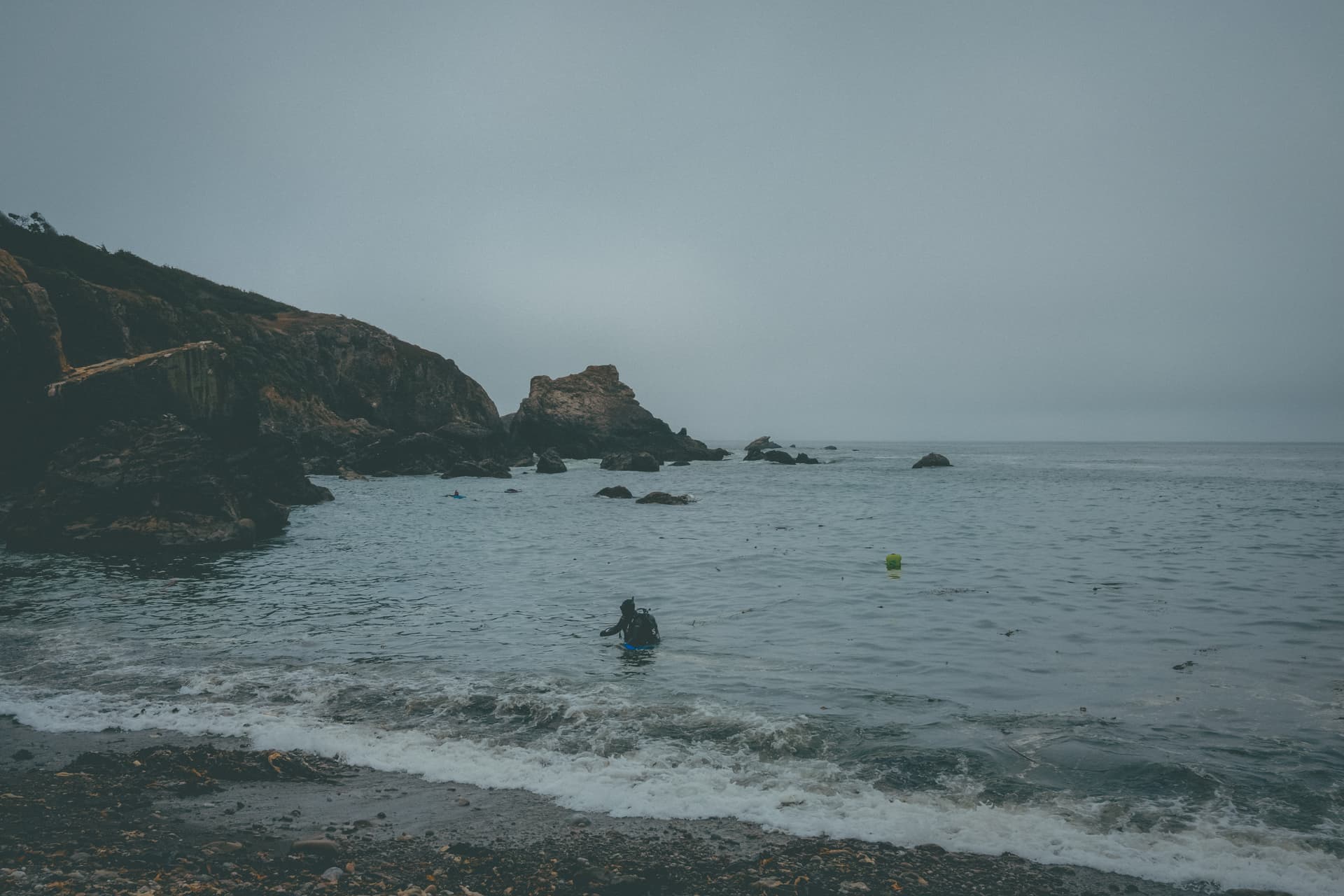 Diving for sea urchins